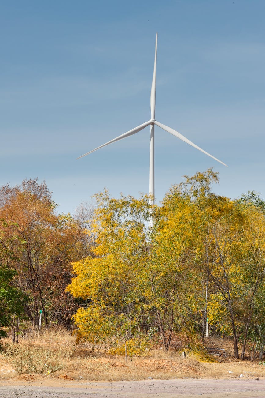 Energia Sustentável em Portugal: Rumo a um Futuro Verde e Tecnológico